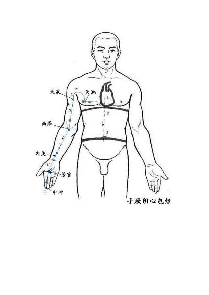 心经与心包经是怎样的经络关系和作用? - 知乎