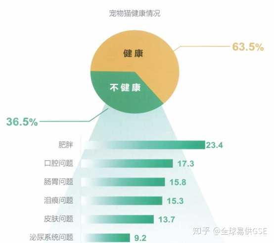 哪些养猫行为 其实是在让猫咪承受痛苦 知乎