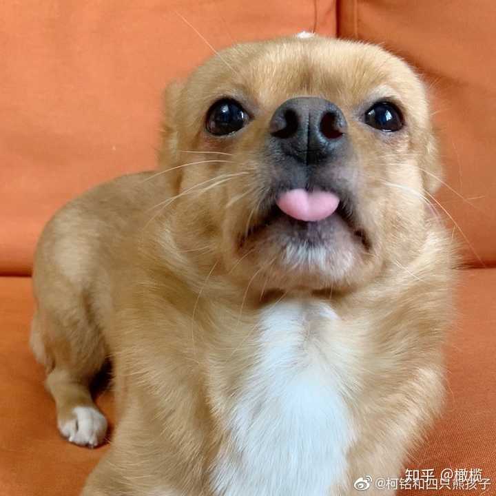 在普通朋友的婚礼上穿汉服可以吗?