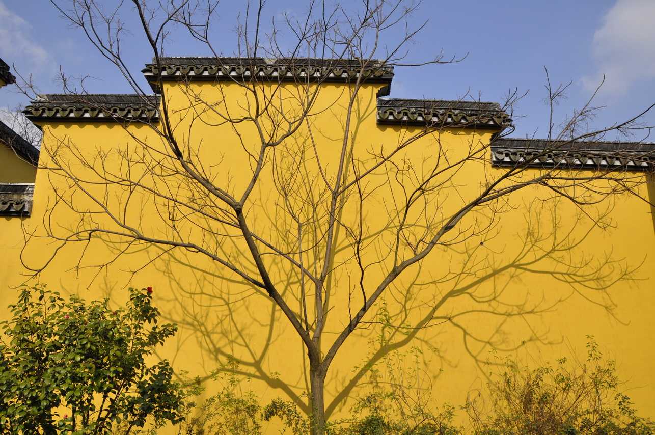 晴窗细乳戏分茶