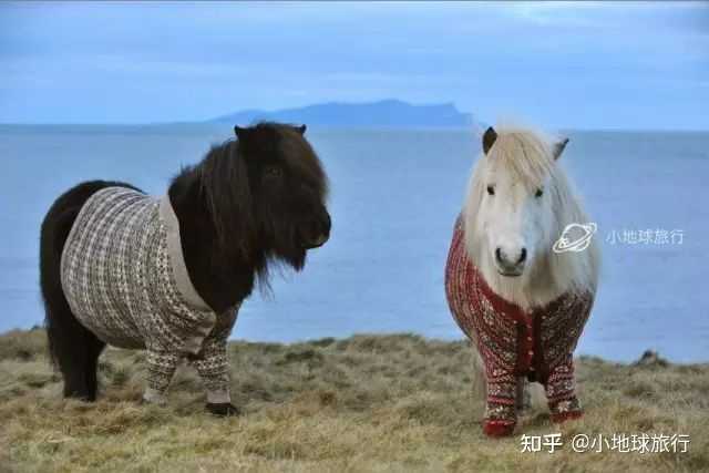 芬兰、瑞典、丹麦、挪威去哪儿看极光最好?根据今年的天气,什么时候去比较容易看到? - 知乎