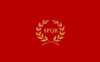 关键在于两个麦穗围出的空间的图案加上简单的spqr,简单和谐又有寓意.