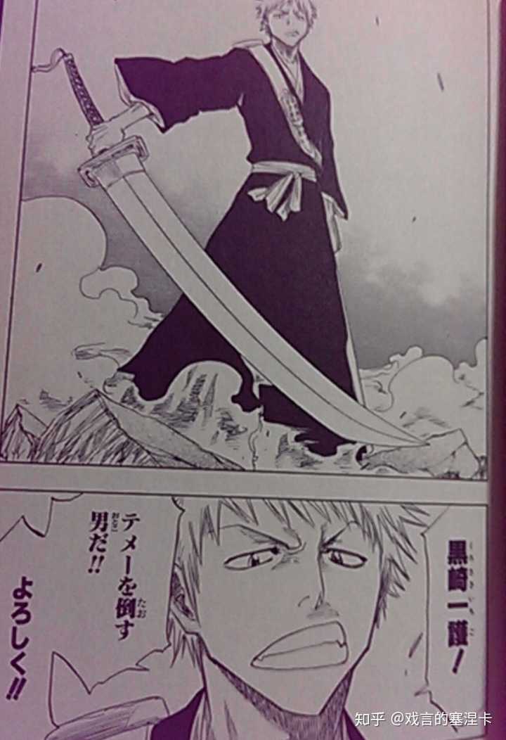 Bleach 中的斩魄刀的名字各自有什么含义 分别都有什么来历 岸边的塞涅卡的回答 知乎 Bleach 中的斩魄刀的名字各自有什么含义 分别都有什么来历 岸边的塞涅卡的回答 知乎
