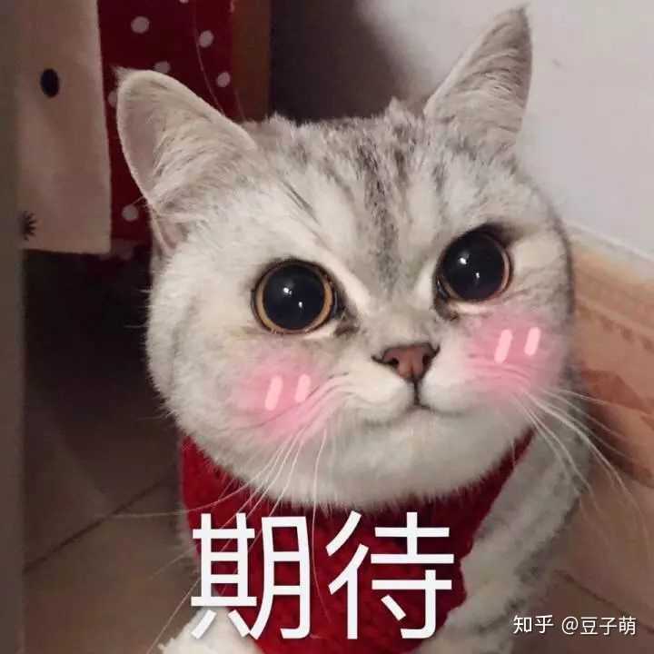 快点亲我一口"每次看到