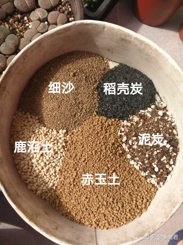 多肉植物的培养土怎么配 知乎