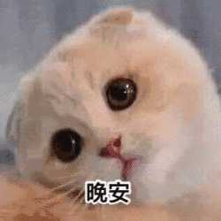 有哪些特别可爱的晚安表情包? - 知乎