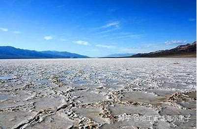 盐碱地是如何形成的? - 知乎