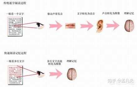 怎样做到眼脑直映 不在心里默读 知乎