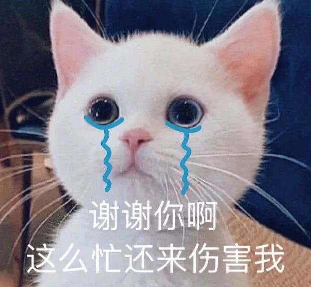 有什么可爱的文案?