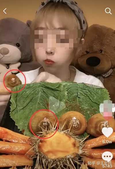 像小盆一样的海胆,其实也就不到半个巴掌那么大.