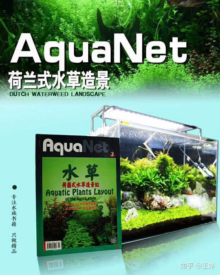 水族造景入门教材 求分享 知乎 水族造景入门教材 求分享 知乎