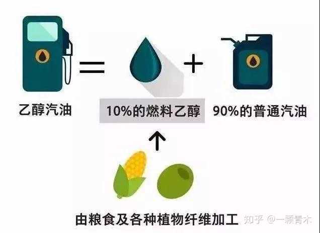 前段时间屯粮食的人 现在是怎样一种体验 一颗青木的回答 知乎 前段时间屯粮食的人 现在是怎样一种体验 一颗青木的回答 知乎