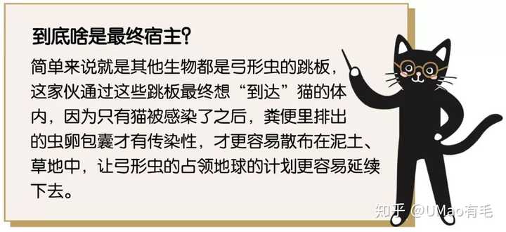 家猫身上一定会有弓形虫吗 知乎 家猫身上一定会有弓形虫吗 知乎