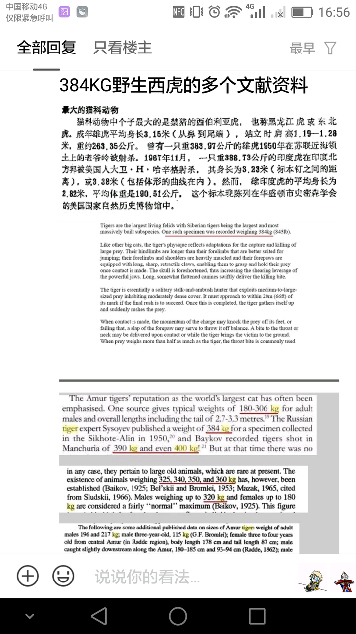 狮子老虎哪个是最大猫科动物 知乎 狮子老虎哪个是最大猫科动物 知乎