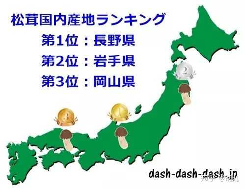 有谁可以普及一下松茸的知识及价格吗 知乎