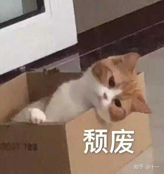 有哪些让“沙雕之魂”熊熊燃烧的朋友圈文案?