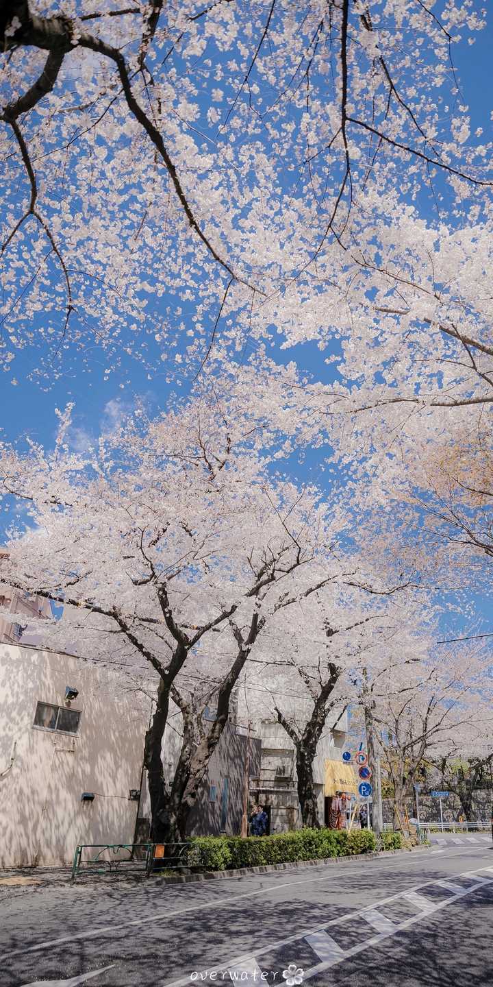 可以給我分享一下那種看起來賊舒服的壁紙嗎?