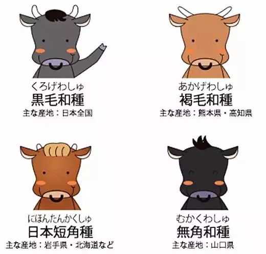日本和牛为什么那么贵 知乎 日本和牛为什么那么贵 知乎