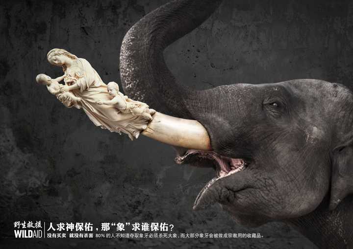 如何看待中国宣布2017年底全面禁止象牙贸易?