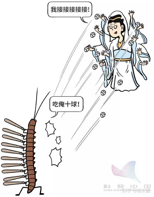 5g 6g 网络到底有什么意义呢 知乎 5g 6g 网络到底有什么意义呢 知乎