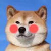 Ti Amo