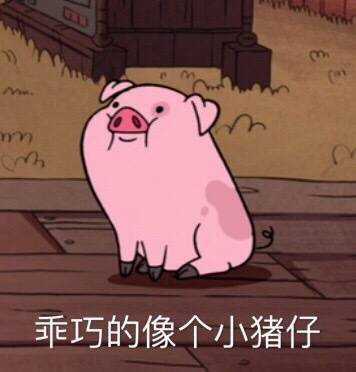 女方过年第一次去男方家,年初三去的,买东西送