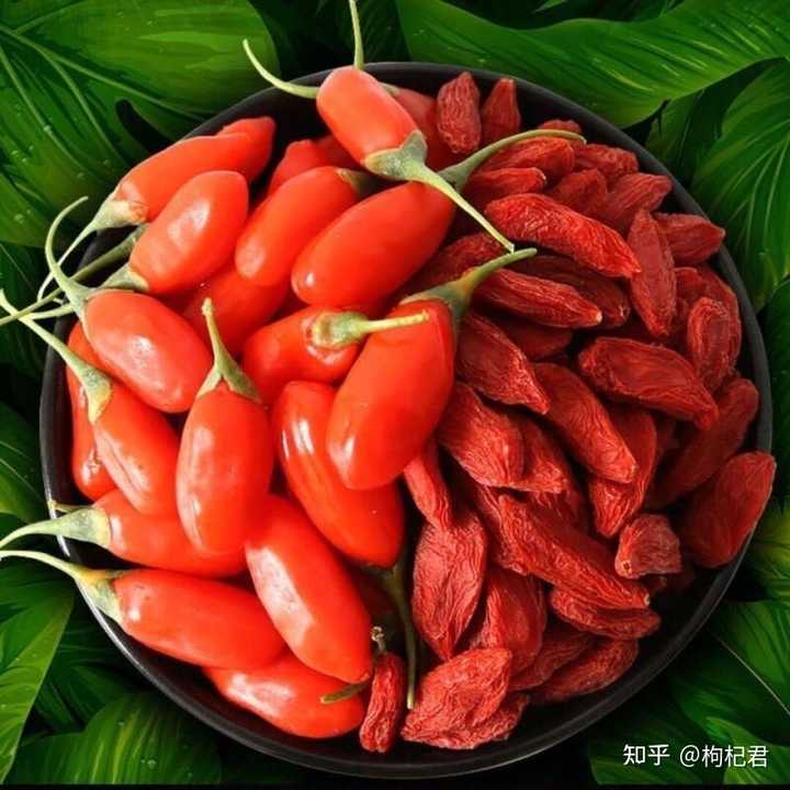 为什么枸杞要吃头茬的? - 知乎