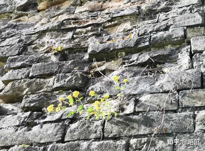 为什么史可法在扬州抵抗了很短时间就失守了 知乎