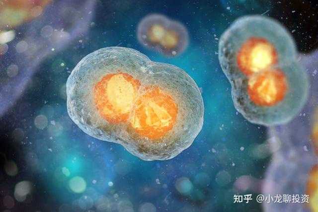 如果永生人类细胞「海拉细胞」泄露了会有危险吗？