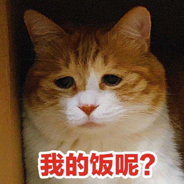 有哪些瞬间「 hold 住全场 」的表情包?