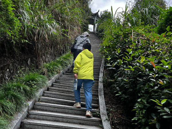 孩子在家写作业磨蹭，但听说在学校课堂作业完成得还可以，为什么同一个孩子在两个环境里差别这么大？