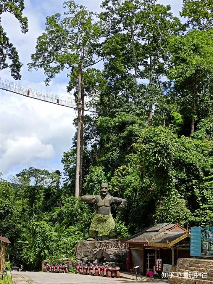 西双版纳有哪些著名景点值得游览? - 知乎