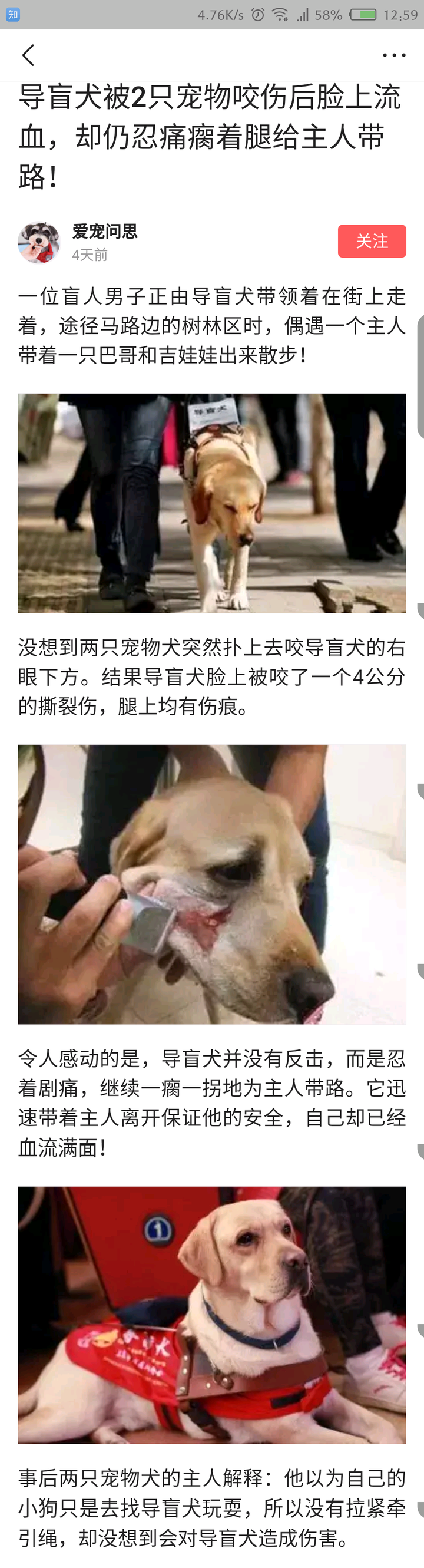如何看待把导盲犬带入到公共场合的行为 知乎 如何看待把导盲犬带入到公共场合的行为 知乎