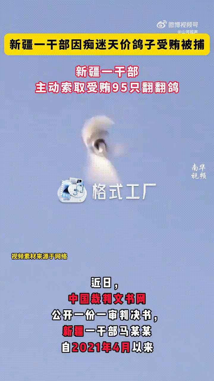 动图封面