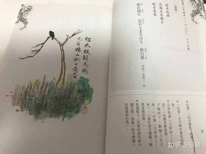 日本有哪些隽永的俳句 Contemporary 的回答 知乎