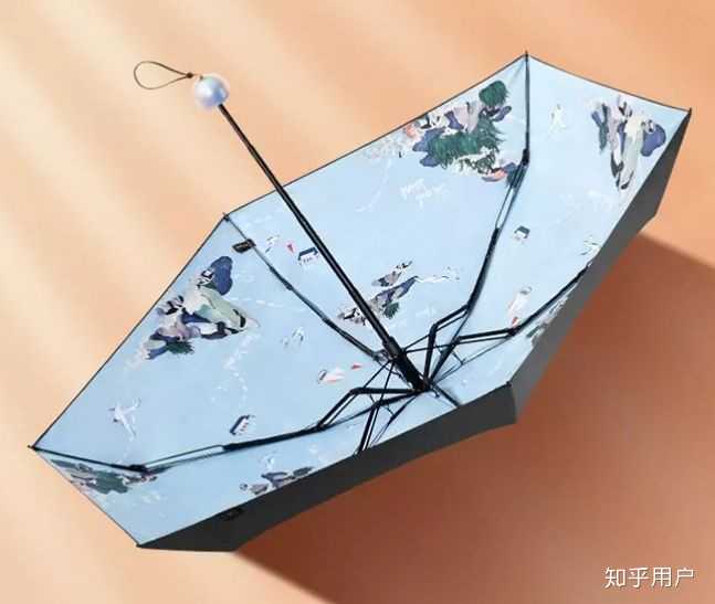 有哪些特别独特好看的伞推荐吗? - 知乎