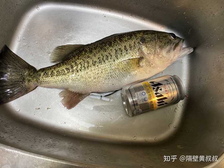 你想住在日本滋贺吗 知乎 你想住在日本滋贺吗 知乎