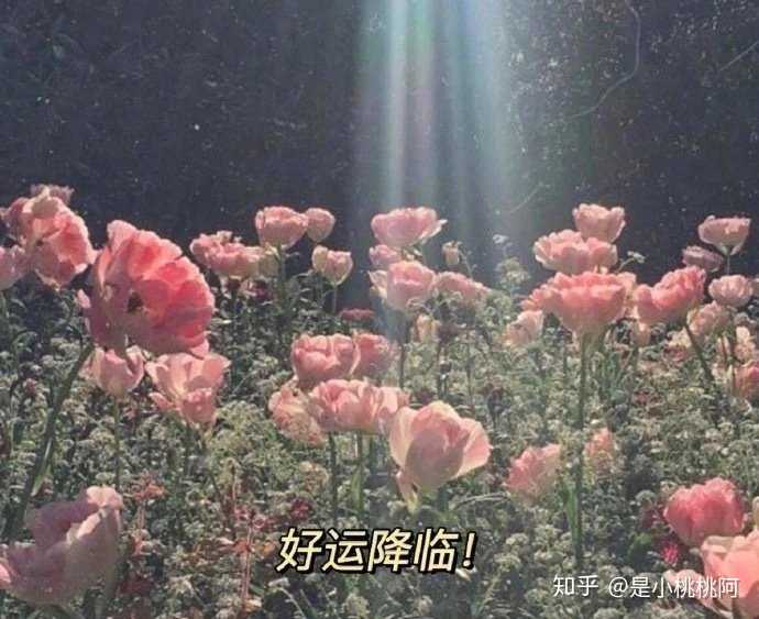 小众冷门高级网名