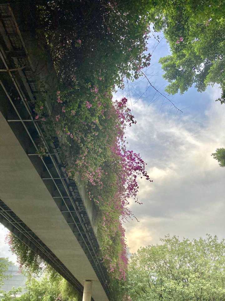 喜欢植物是一种怎样的体验 知乎 喜欢植物是一种怎样的体验 知乎