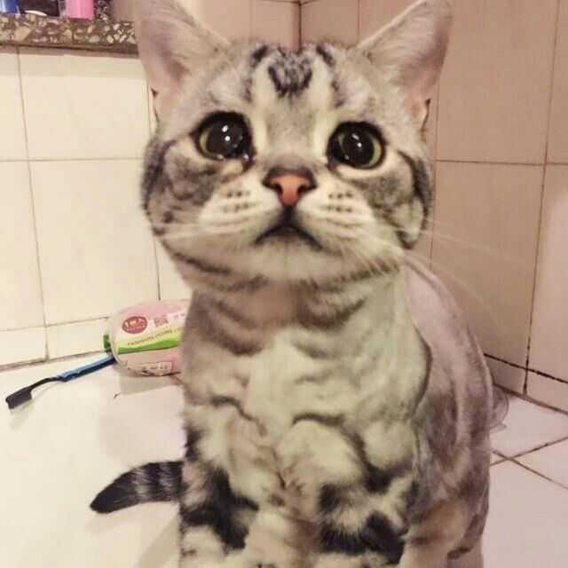 男生的哪个瞬间让你觉得很有教养?