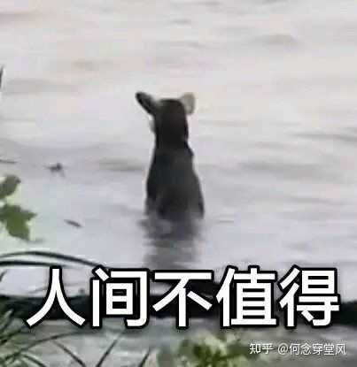 哪些文案让你一看就能笑出声来?