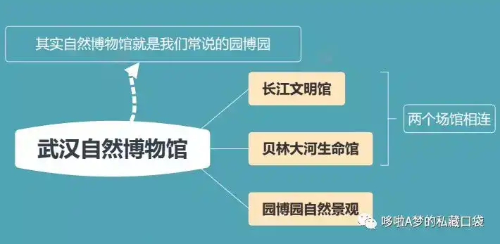 玩儿