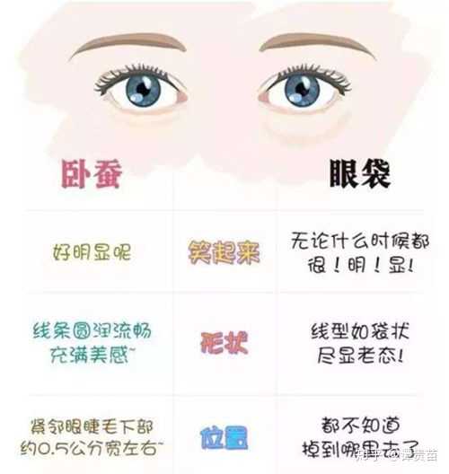 什么是 卧蚕 它跟眼袋有什么区别 知乎