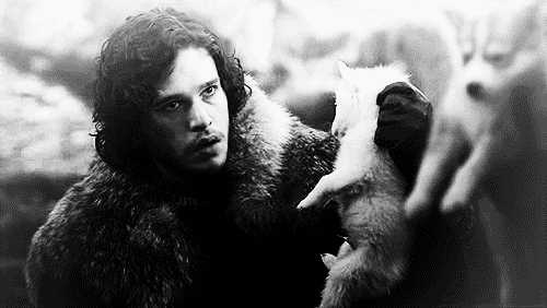 权力的游戏s08e04中jonsnow琼恩雪诺为什么要放生ghost白灵