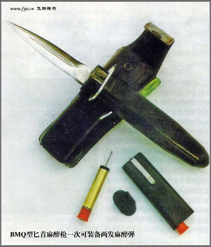 而且是否可以使用麻醉弹一类的?