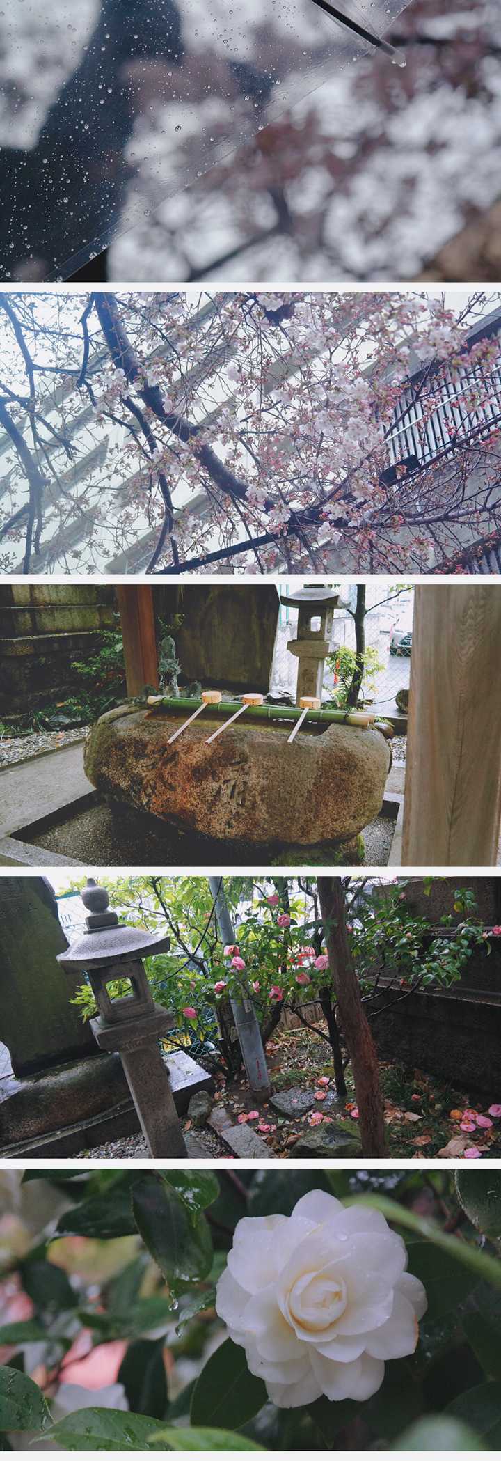 想去日本深度旅游 有哪些冷门的地方景点一定要去 知乎 想去日本深度旅游 有哪些冷门的地方景点一定要去 知乎