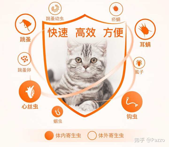 什么时间给猫咪驱虫比较好?