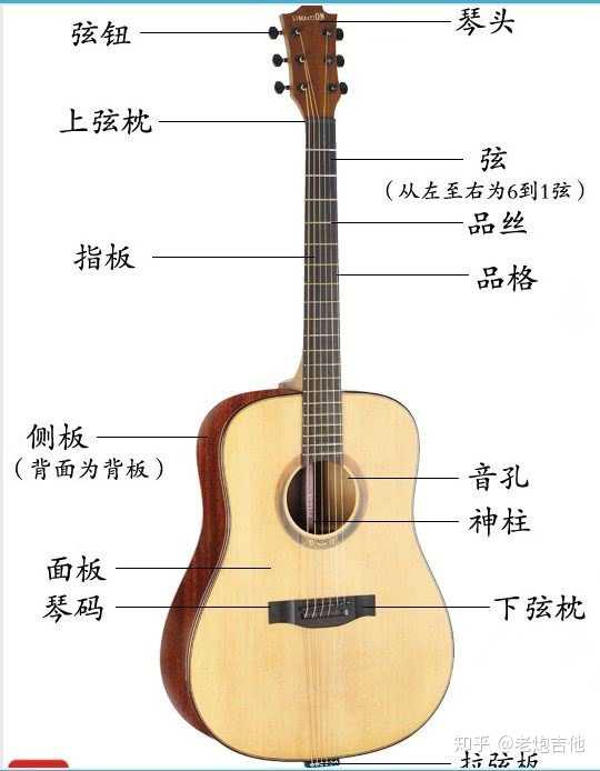 吉他怎么选?