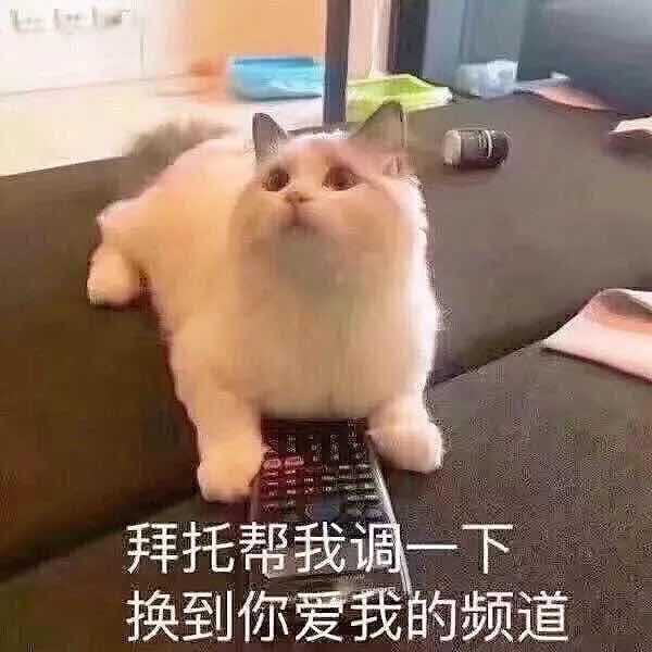 有哪些可爱又很酷的文案?
