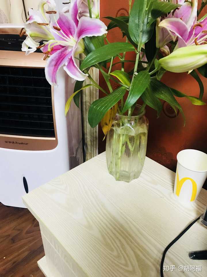 沾上了百合花粉并且愚蠢的用水洗了 请问有彻底把花粉染色洗掉的方法吗 知乎 沾上了百合花粉并且愚蠢的用水洗了 请问有彻底把花粉染色洗掉的方法吗 知乎